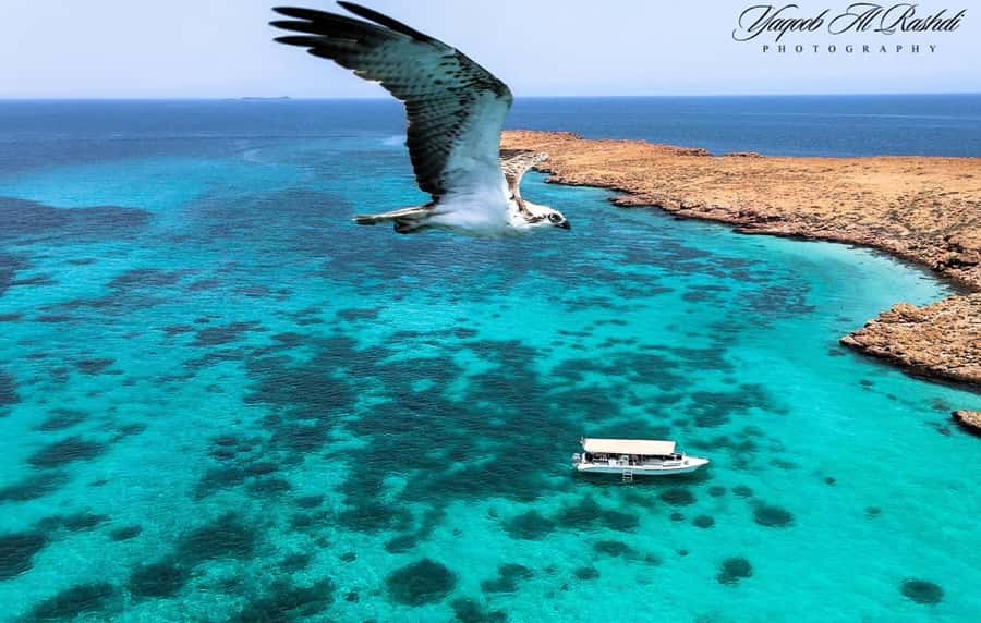 From Al-Seeb: Dimaniyat Islands Boat Trip with Snorkeling - Leaving Al-Seeb for the Dimaniyat Islands