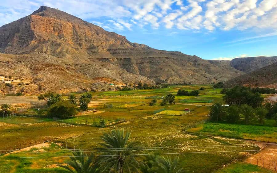 From Dubai: Musandam Khasab Tour with Boat Trip and Safari - Jebel Harim and the private 4x4 climb