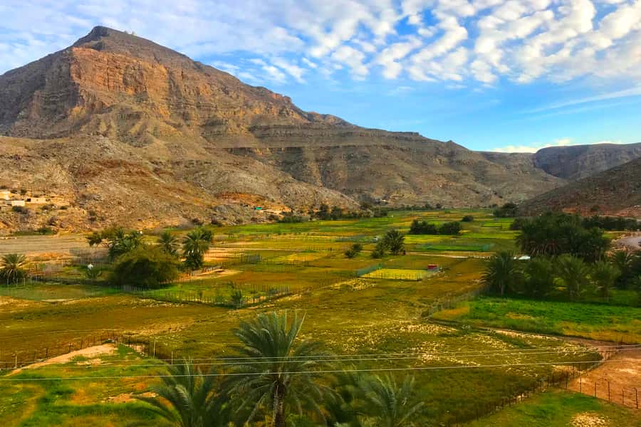 From Khasab: Half-Day Mountain Safari to Jabel Harim - Reading the fossil story in the rock
