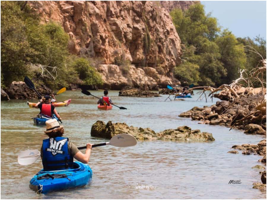 From Muscat: Al Qurum Beach Sunset Kayaking Experience - Sunset colors, seabirds, and possible turtles