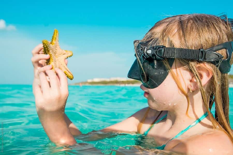 From Muscat: Dimaniyat Islands Snorkeling Tour - Key points at a glance