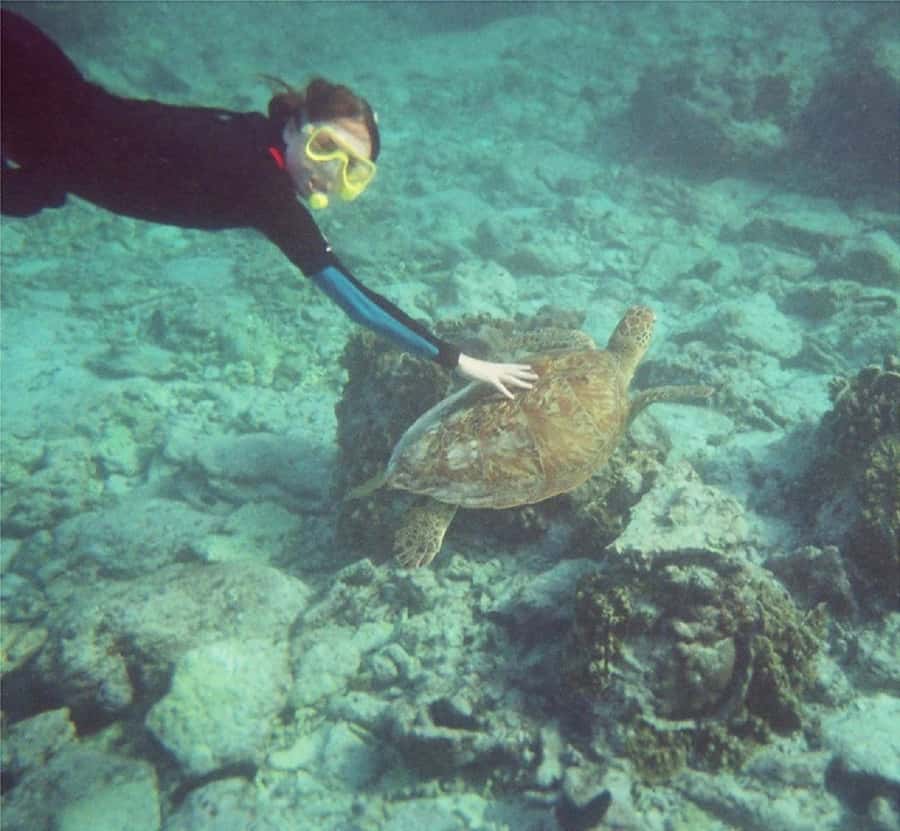 From Muscat: Dimaniyat Islands Snorkeling Tour - Equipment, safety, and comfort