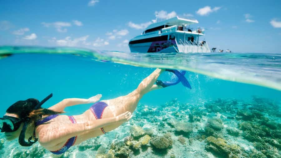 From Muscat: Dimaniyat Islands Snorkeling Tour - The morning pickup and road to the marina