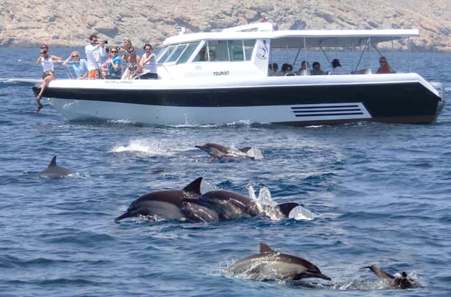 From Muscat: Discover Dolphins Day Trip - Two hours on the water, with dolphins as the main event