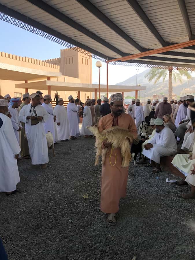 From Muscat: Nizwa and Oman's Historical Gems Tour - Option 3: Nizwa and the Oman Across Ages Museum