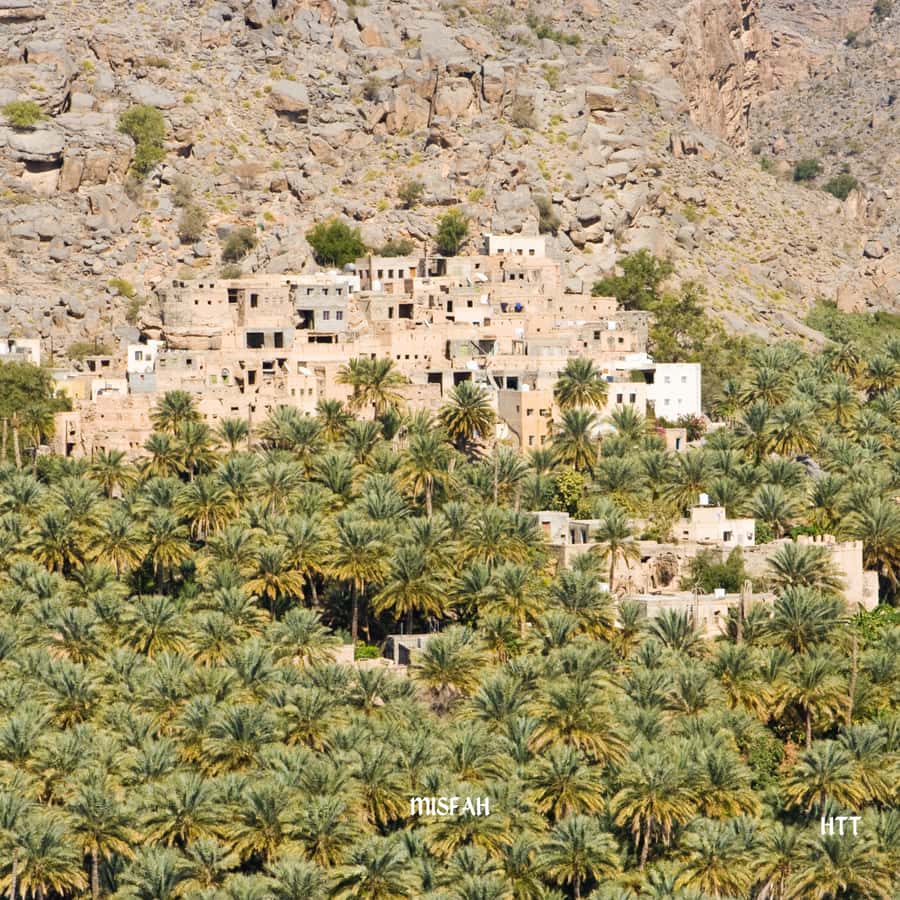 From Muscat: Nizwa Day Trip with Grand Canyon - What the private format changes