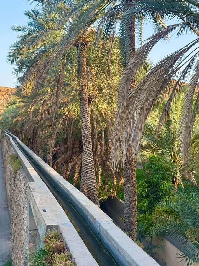 From Muscat: Nizwa Fort, Souq, falaj & Museum Full Day Tour - Nizwa Fort and the city from above