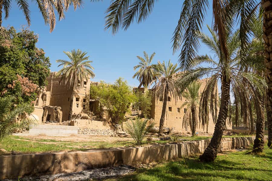 From Muscat: Nizwa & Oman Across Ages Museum - The traditional village and Al Hamra connection