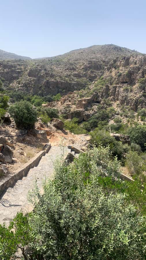 From Muscat: Private Nizwa and Jabel Akhdar-Shams with Lunch - Choosing between Jebel Akhdar and Jabal Shams