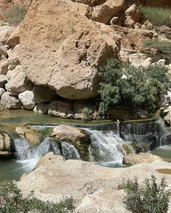From Muscat:Private Wadi Shab and Bimmah SinkHole Tour - Private transport makes the day easier