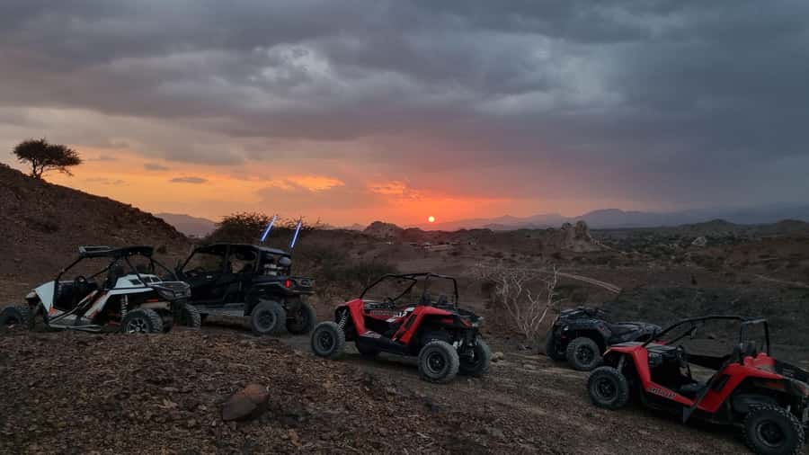 From Muscat: Self-Drive ATV Adventure in Wadi Al Rak - Who will enjoy this Fox ATVs outing?