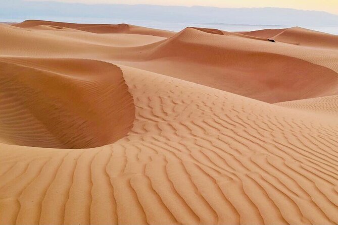 From Muscat: Wadi Hawar and Wahiba Sands Desert Tour - The optional camel ride and desert time