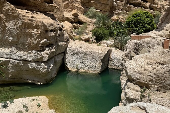 From Muscat Wadi Shab and Bimmah Sinkhole Tour - Who will enjoy this tour most