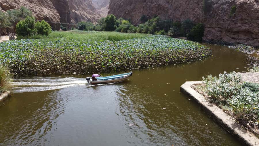 From Muscat: Wadi Shab & Bimmah Sinkhole Full-Day Tour - Who will enjoy this tour most?