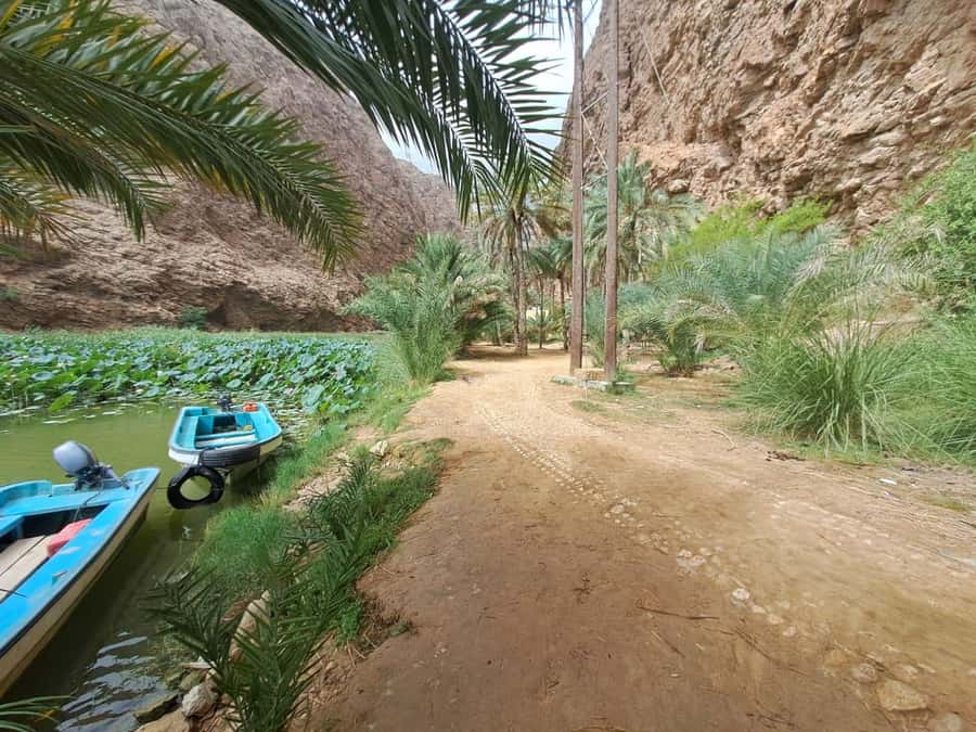 From Muscat: Wadi Shab Expedition - Key points to know before booking