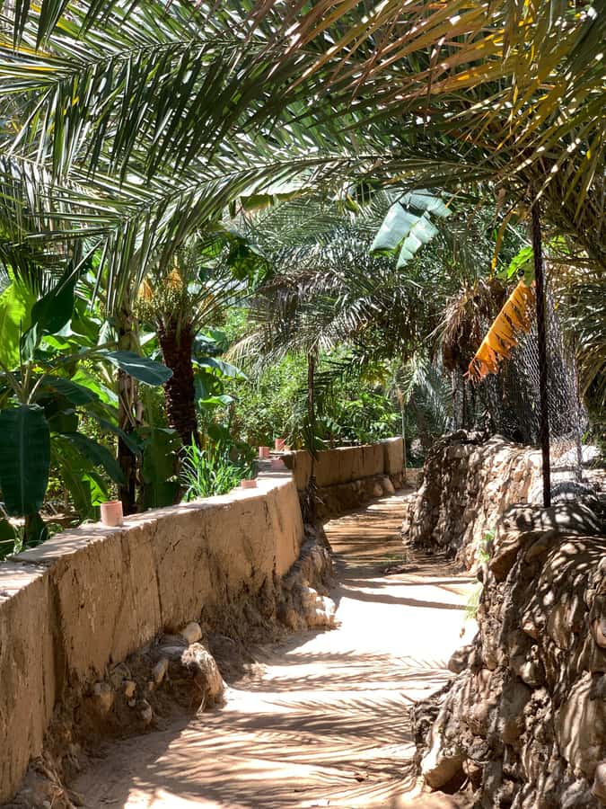 From Muscat: Wadi Shab & Sinkhole Private Tour & Free Lunch - A private ride along Oman’s coast