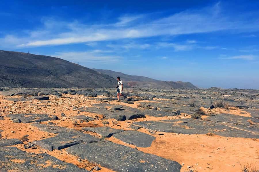 From Ras Al Khaima : Dolphin Watching and Jabal Harim Safari - Dolphin watching in Khor Sham