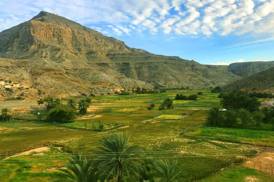 From Ras Al Khaima : Dolphin Watching and Jabal Harim Safari - Timing, comfort, and the return to Ras Al Khaimah