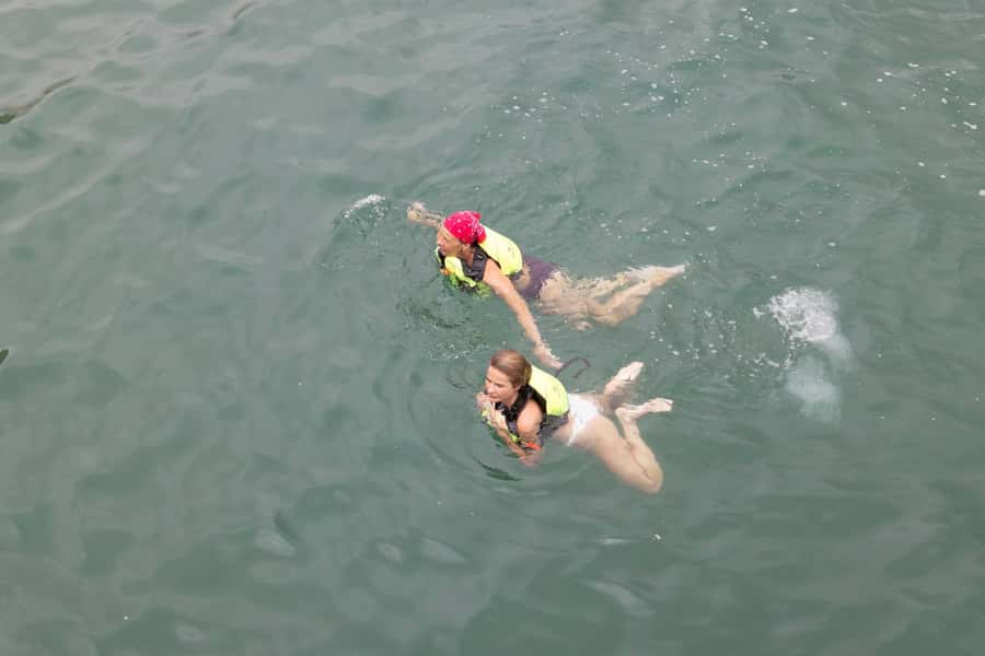 From UAE: Musandam Dibba Day Trip (Oman) - Should you book the Musandam Dibba day trip?