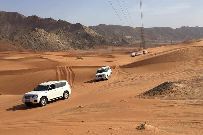Full-Day Desert Safari Jeep Tour in Ash Sharqiyah Governorate - Why this desert and oasis pairing works