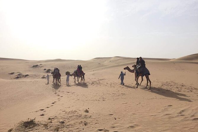 Full-Day Desert Safari Jeep Tour in Ash Sharqiyah Governorate - Who will enjoy this day most