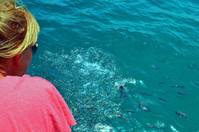 Full Day Dhow Cruise to Khor Sham with lunch & Snorkeling (Shore excursions) - Why Khor Sham is worth six hours on the water