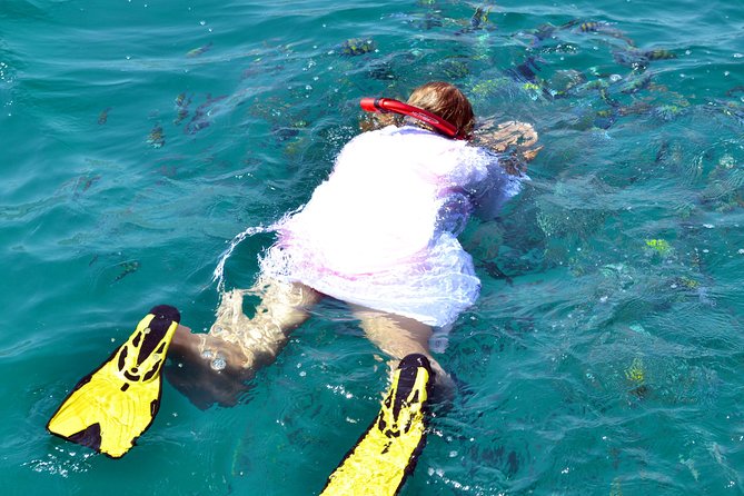Full Day Dhow Cruise to Khor Sham with lunch & Snorkeling (Shore excursions) - Starting from Khasab at 9:30 am