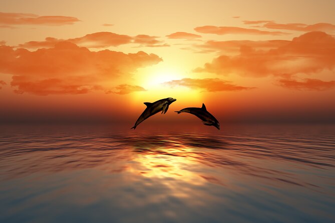 Full day Dhow: Khasab, Musandam: Dolphins, Snorkeling & Fjords - Lunch, cold drinks, and Omani qawa