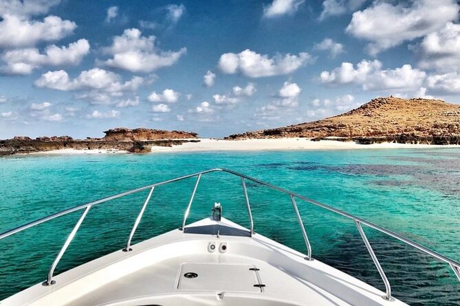 Full Day Dimaniyat Island Excursion - Who will enjoy this excursion most?