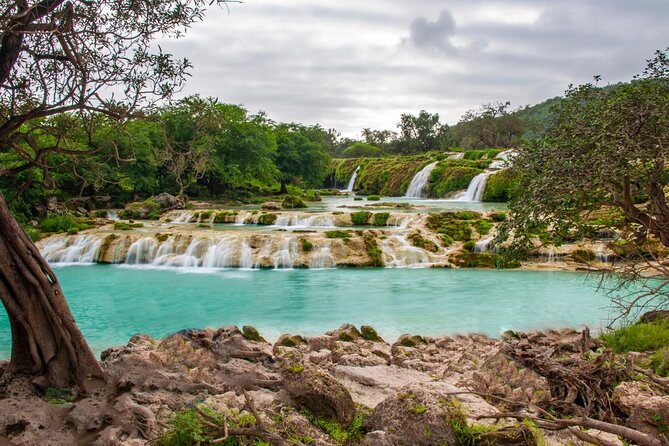 Full Day Guided Salalah a Combination of East and West tour - Key points to know before you book