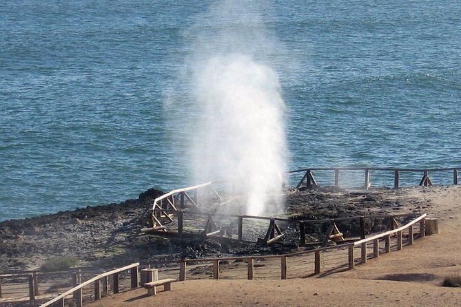 Full Day Guided Salalah a Combination of East and West tour - Ain Razat shows Salalah’s water heritage