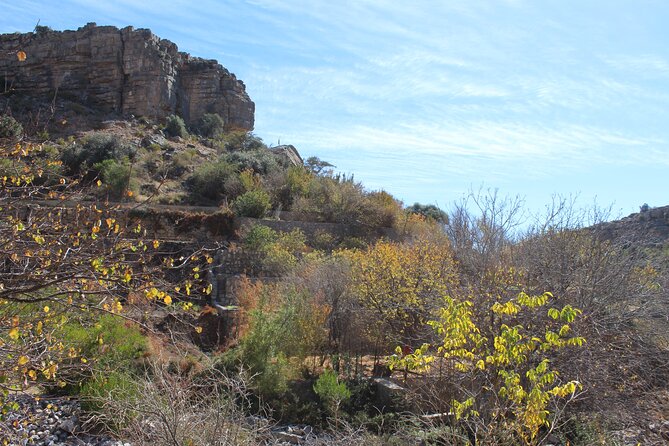 Full-Day Guided Tour to Jebel Akhdar - What the private format changes