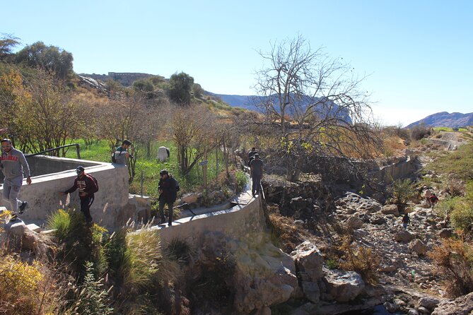 Full-Day Guided Tour to Jebel Akhdar - Is $202 a fair price?