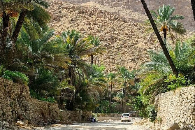Full-Day Private Tour of Wahiba Sands Desert and Wadi Bani Khalid - From Muscat to Oman’s open interior