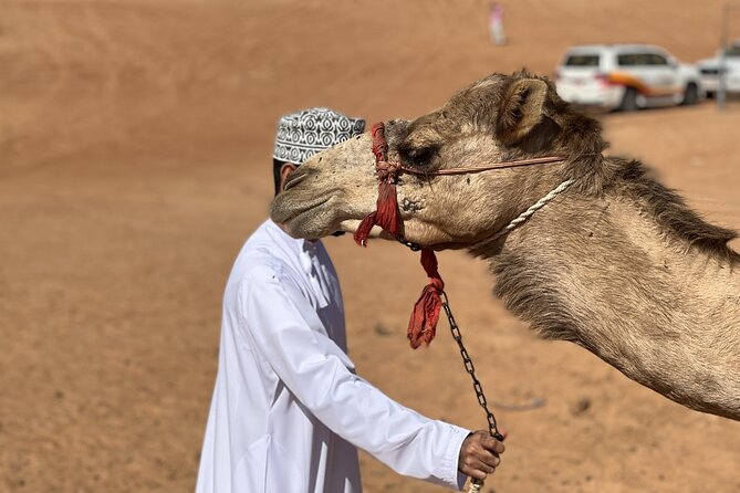 Full-Day Private Tour of Wahiba Sands Desert and Wadi Bani Khalid - Lunch, transport, and the $179 price