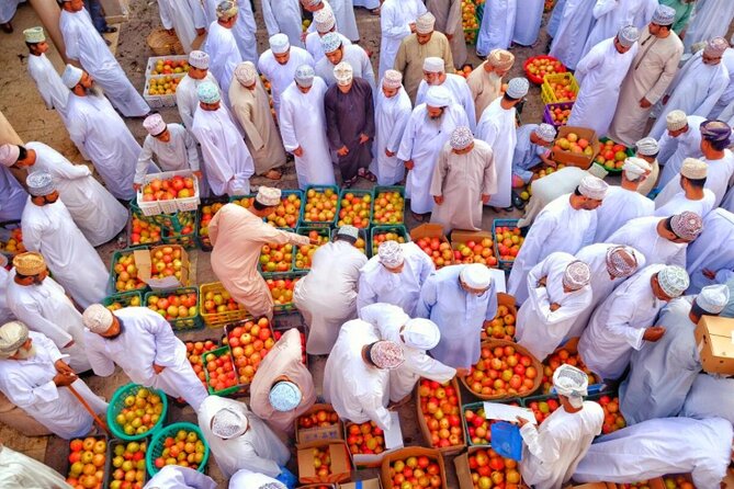 Full Day Private Tour to Nizwa and Jebel Shams from Muscat - Food, water, comfort, and what to plan