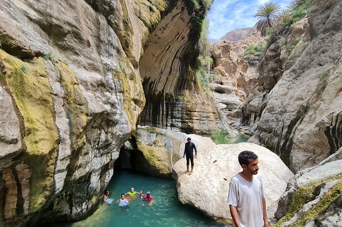 Full-Day Private Wadi Tiwi Adventure - Lunch is a pause, not part of the price