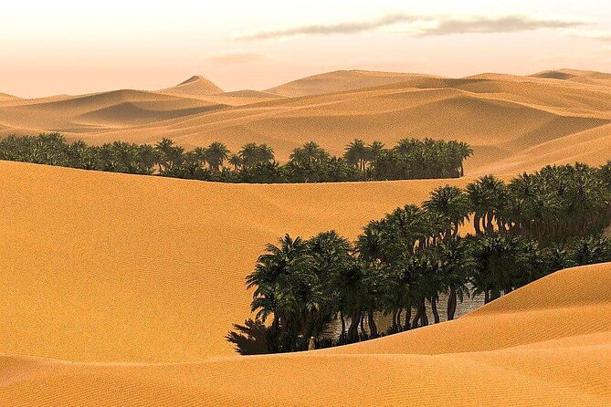 Full-Day Private Wahiba Sands Desert and Wadi Bani Khalid Tour - A Bedouin house, coffee, dates, and camel riding