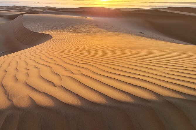 Full-Day Private Wahiba Sands Desert and Wadi Bani Khalid Tour - The long day from Muscat