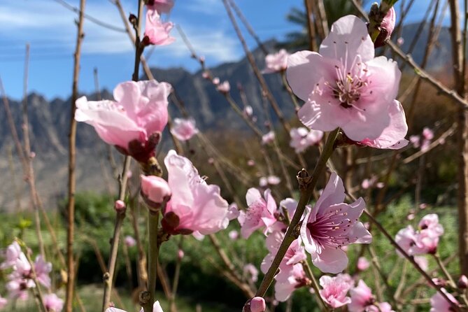 Full Day Tour from Wakan to Jebel Akhdar Trekking - Who will enjoy this day most