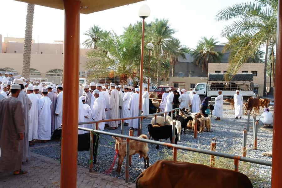 Full-Day Tour in Oman: Enchanting Forts of Nizwa and Jabreen - Why this route works from Muscat