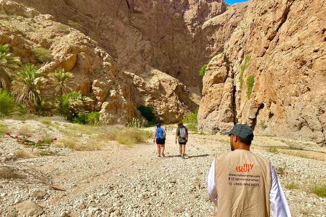 Full Day Tour in Wadi Shab - The long coastal road from Muscat