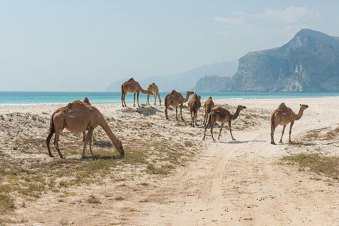 Full day west tour of Salalah - Ittin Mountain and the view over Salalah