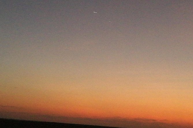Golden Dunes Getaway: Overnight Safari in Salalah’s Empty Quarter - Wadi Dawkah and the trees that made Dhofar famous