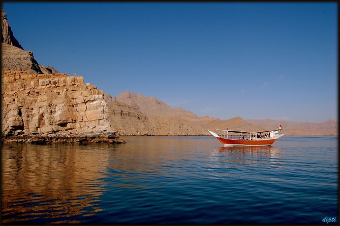 Half Day Dhow cruise to Telegraph Island (Shore excursions) - Watching for dolphins along the route