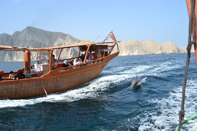 Half Day Dhow cruise to Telegraph Island (Shore excursions) - Is $40 good value in Khasab?