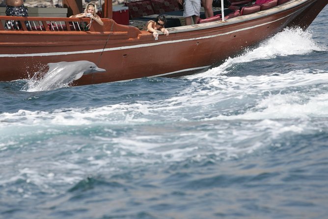 Half Day Dolphin Watching Musandam Dhow Cruise - Why this Musandam cruise is worth your morning