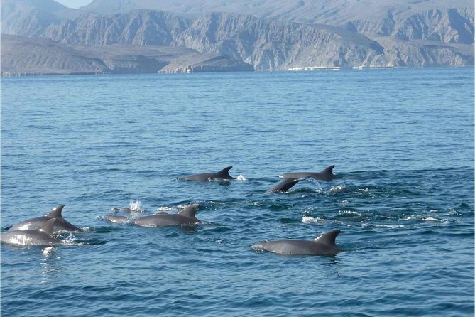 Half Day Dolphin Watching Musandam Dhow Cruise - Villages, fjord walls, and the value of a slower pace