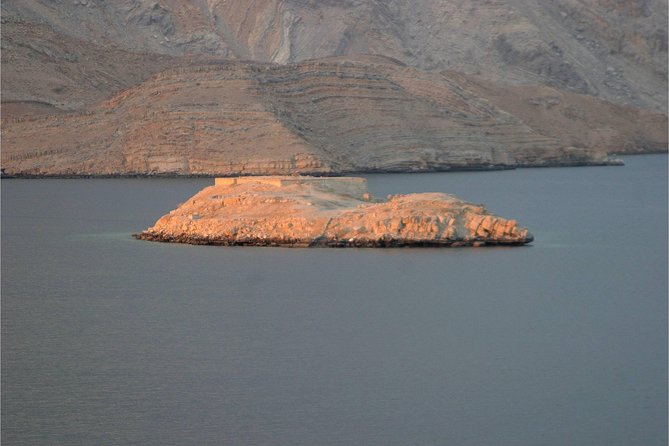 Half Day Dolphin Watching Musandam Dhow Cruise - Price, timing, and practical value