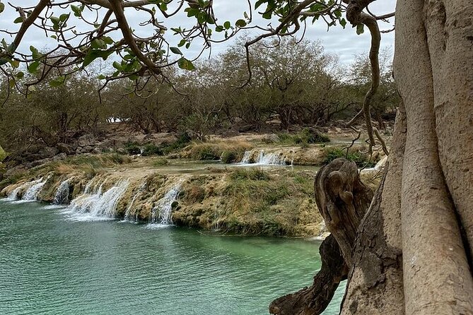 Half-Day Private Salalah East Tour - Key points to know